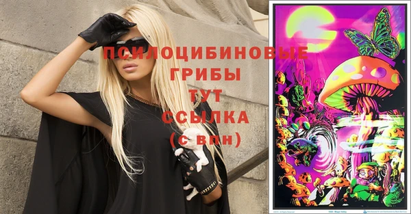шишки Алзамай