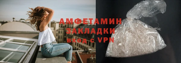 шишки Алзамай