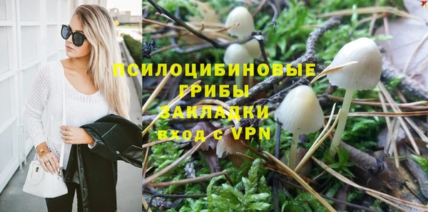 ПСИЛОЦИБИНОВЫЕ ГРИБЫ Алексеевка