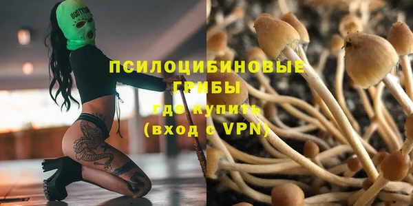 ПСИЛОЦИБИНОВЫЕ ГРИБЫ Алексеевка