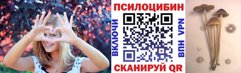 Псилоцибиновые грибы Cubensis  Саки 