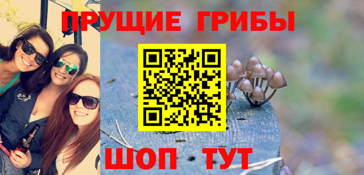 Галлюциногенные грибы MAGIC MUSHROOMS Саки