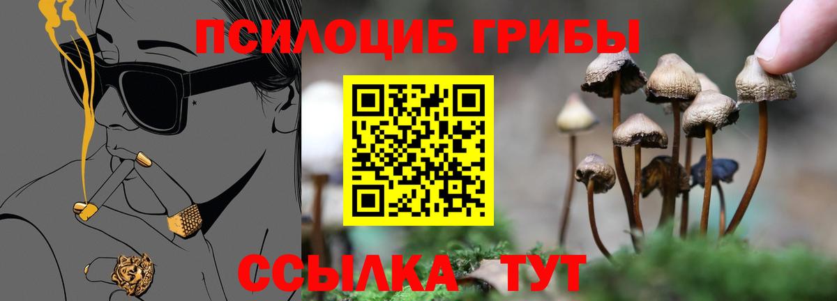 Саки  Галлюциногенные грибы MAGIC MUSHROOMS  Вход с VPN  Галлюциногенные грибы MAGIC MUSHROOMS 